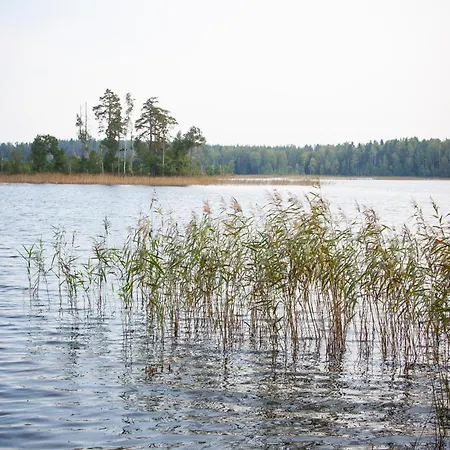Kimalase Metsamaja Misso Exterior photo